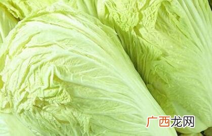 如何种白菜,白菜种子要怎样播种？