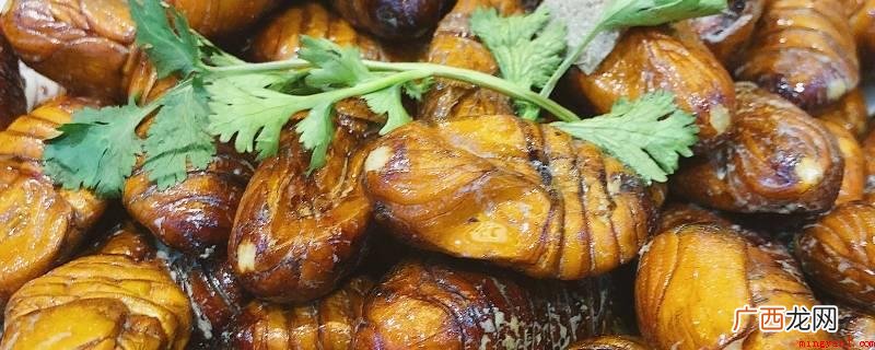 活蚕蛹冷冻能存储7天上下 活蚕蛹冷藏能储存几天