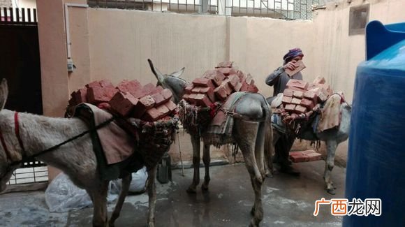 巴基斯坦这个国家有多大,巴基斯坦与巴勒斯坦哪个国家大？