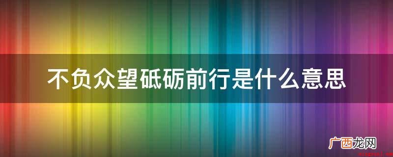中国明朝思想家、程朱理学中心学一派的代表人物王守仁,世称阳明 不负众望砥砺前行是什么意思