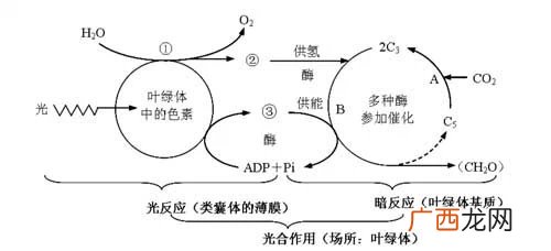 CO2是什么,co2代表什么？