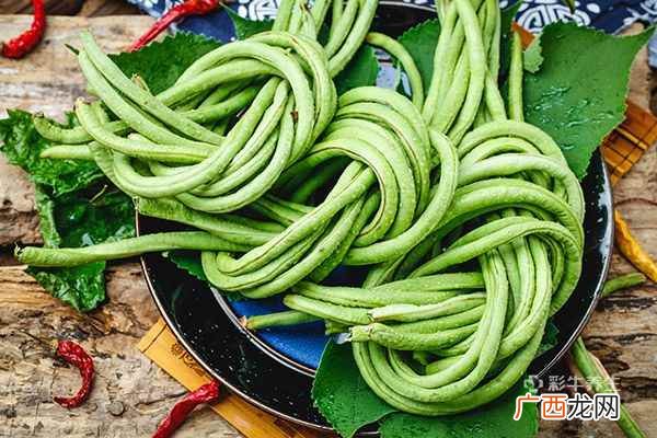 豆角的营养价值与功效
