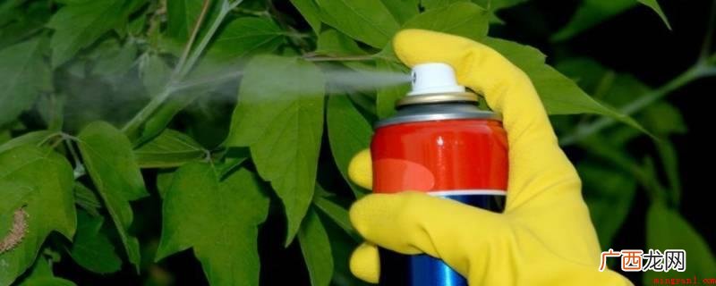 杀虫剂就是指用于预防虫害的有机化学制剂 杀虫剂是农药吗