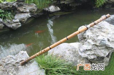 自学笛子和箫哪个好学,想从笛子和萧中选一个学？不知道哪个简单些，而且好听些？