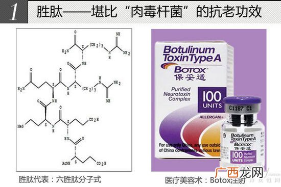 弹力蛋白是什么,原蛋白是什么？
