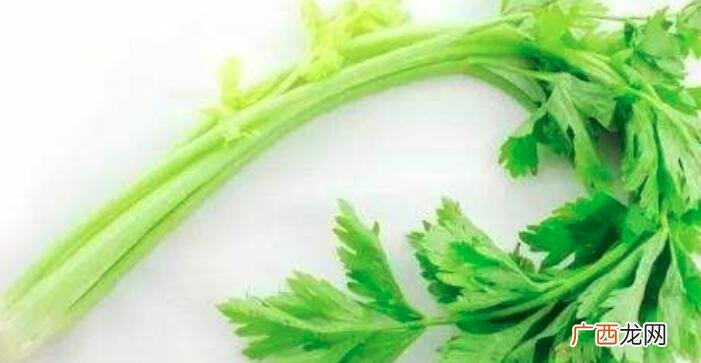 芹菜和西芹的营养价值区别 芹菜和西芹的区别