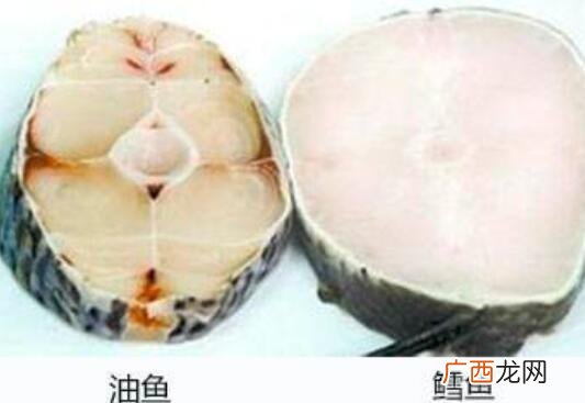 油鱼和鳕鱼的营养价值区别 油鱼和鳕鱼的区别