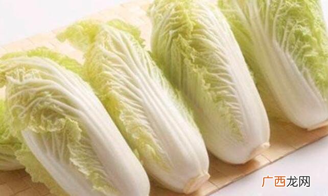 娃娃菜和白菜的外观区别 娃娃菜和白菜的区别