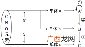 什么叫碱基配对,碱基互补配对方式有几种？