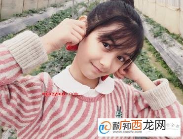 中国文化旁源远粳粋粆粁粁字有哪些? 米字旁的汉字有哪些，米字旁的宝宝名字