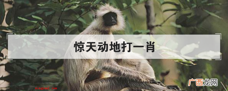 简略回应英雄王座打一生肖是猴,惊天动地的意思是使天地惊扰 惊天动地打一肖