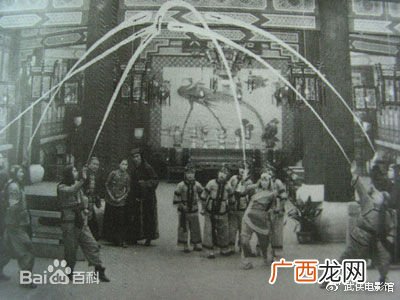 1928年郑正秋根据武侠小说改编的是什么,1928年郑正秋执导的电影是？
