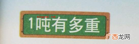 t 一吨等于一千Kg,是较常用的质量单位,用英语字母表明, 一吨等于多少千克
