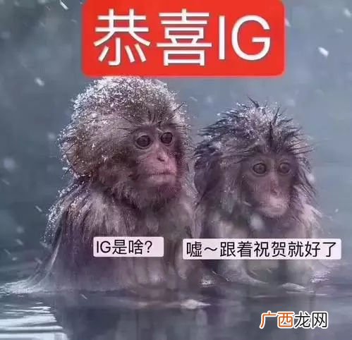 英文Forward是什么意思,FW代表什么？