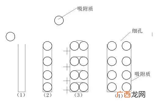 分子直径怎么查,分子的直径科学计数法？