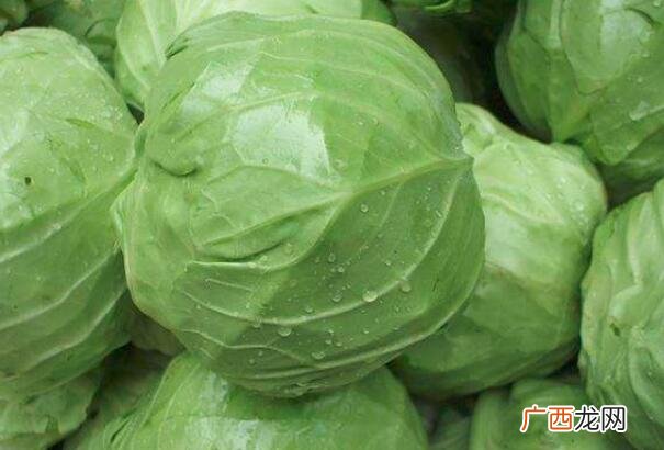 甘蓝和包菜的区别 从外观上来看,便能够很好辨别甘蓝还有包菜