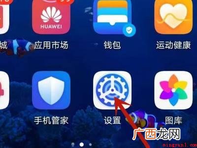 华为公司P40中关闭纯粹模式的实际操作步骤 怎么关闭纯净模式