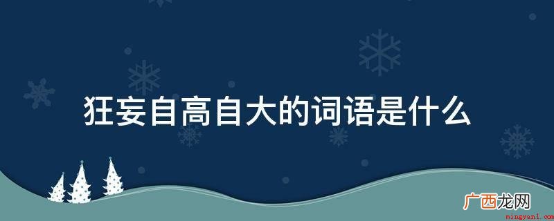 形容目中无人,十分骄傲的样子 狂妄自高自大的词语是什么