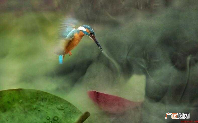 Photoshop羽化工具怎么用 ps羽化工具怎么用