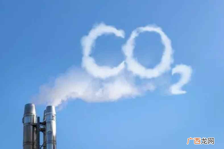 二氧化碳(carbon dioxide 二氧化碳化学式是什么,一种碳氧化合物,化)