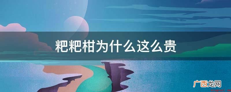 最优异的杂柑品种:“耙耙柑”学名字叫做“春见” 粑粑柑为什么这么贵