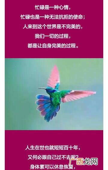 虎什么龙什么四字成语,龙跟虎是不是近义词？