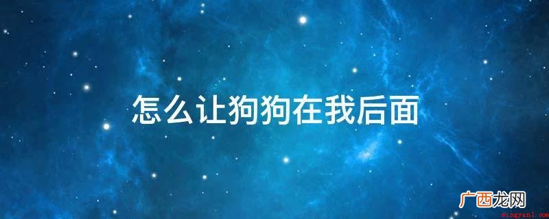 遛狗时让狗狗在自身前边或是后边_宠物频道 怎么让狗狗在我后面