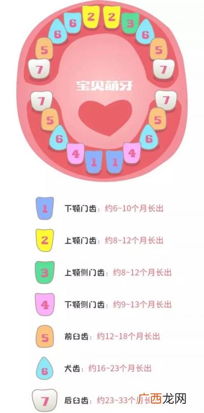乳牙萌出顺序是什么,3岁孩子长牙顺序？