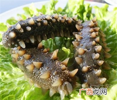 海参泡发需要哪些步骤你们知道吗,拉岗岩海参发制方法?