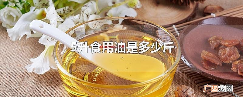 5升食用油是9 5升食用油是多少斤
