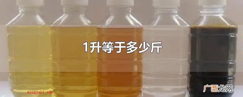 车用汽油1升等于多少斤 1升等于多少斤
