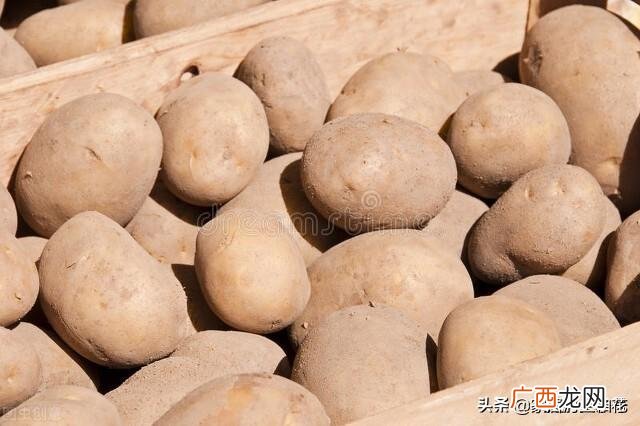 蔬菜有药水用水浸泡能去除吗 超市里的菜都用药水泡了吗