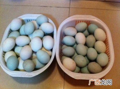 咸鸭蛋腌好后怎么存放,腌好的盐蛋怎样保存好？