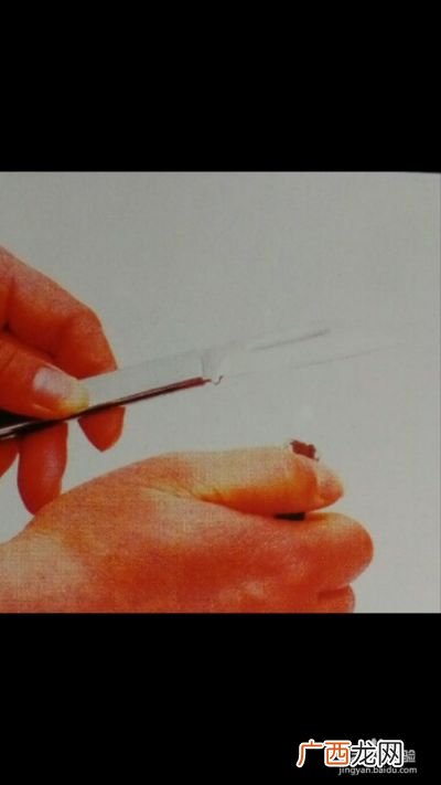 植物嫁接方法一劈接,根接嫁接法？