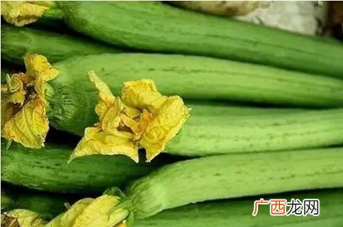 立秋后的丝瓜能吃吗,立秋后丝瓜为啥不建议吃？