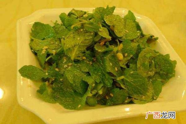 薄荷叶凉拌怎么做,野薄荷的凉拌方法？