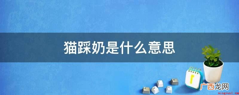 猫踩奶,是猫的一种恋母的主要表现 猫踩奶是什么意思