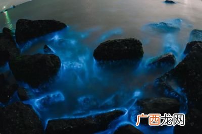 夜光藻和蓝眼泪的区别,中国第五大岛？