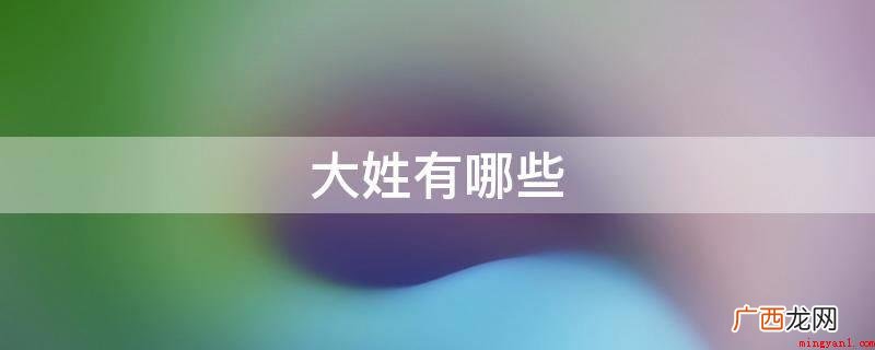 大姓有王、李、张、刘、陈、杨、黄、赵、周、徐、孙、胡等 大姓有哪些