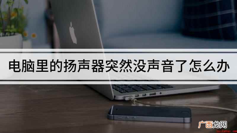 扬声器没有声音怎么办 电脑里的扬声器突然没声音了怎么办