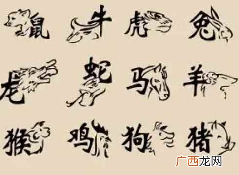 老实真诚,没有坏心眼,在人际关系中有着不错的人缘 家肖是哪几个生肖