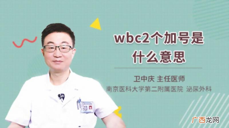 wbc是什么意思,col是什么数值？