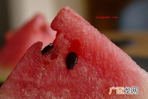 西瓜子在明清两代,没有别的瓜子能超越 明代最常见的瓜子是什么？