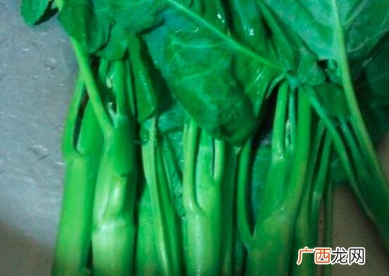 芥蓝和菜心的外观区别 关于芥蓝的吃法 芥蓝和菜心的区别