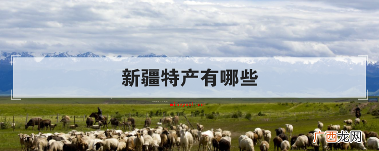 简略回应新疆特产有很多,例如:骆驼奶、冰山雪莲、新疆地毯、小 新疆特产有哪些
