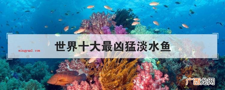 世界十大最凶狠淡水鱼,亚马逊鲇鱼名列榜首 世界十大最凶猛淡水鱼
