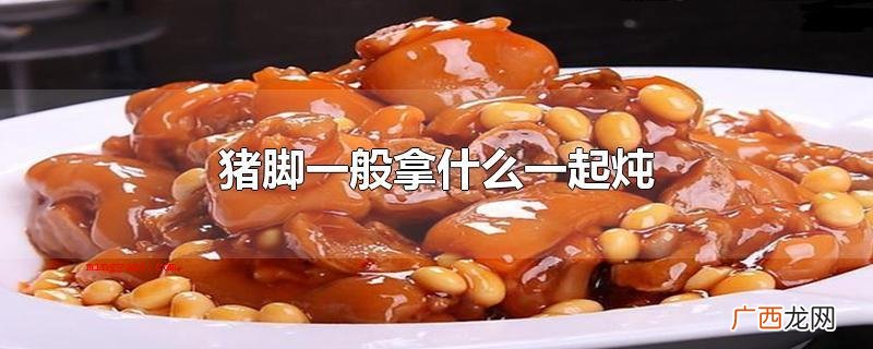 猪脚一般拿哪些一起炖黄豆焖猪蹄 猪脚一般拿什么一起炖
