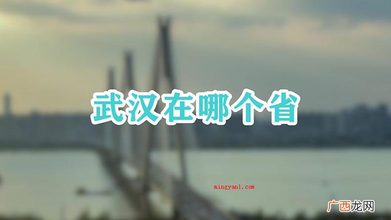 武汉在湖北省的省会城市,总面积8569 武汉在哪个省
