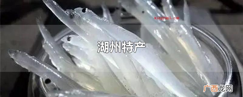 安吉山核桃,莫干黄芽,德清晨园笋,善琏湖笔,银鱼等这种全是湖 湖州特产
