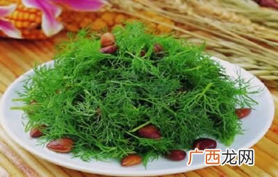 茴香菜是什么菜,茴香菜是什么菜？
